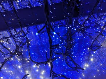 グリーンランドに投稿された画像（2023/8/13）