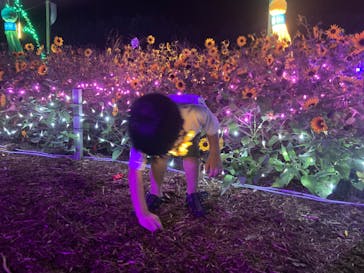 せんだい農業園芸センター　みどりの杜に投稿された画像（2023/8/13）