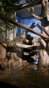 天王寺動物園に投稿された画像（2023/8/13）