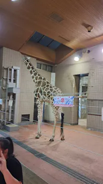 天王寺動物園に投稿された画像（2023/8/13）