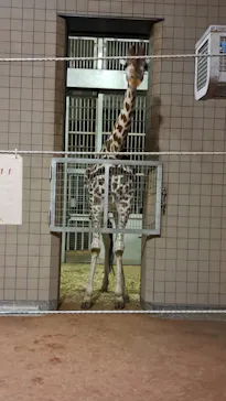 天王寺動物園に投稿された画像（2023/8/13）