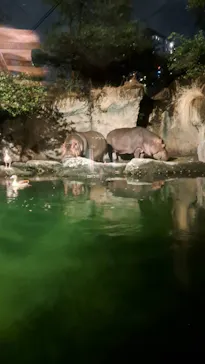 天王寺動物園に投稿された画像（2023/8/13）