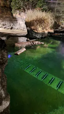 天王寺動物園に投稿された画像（2023/8/13）