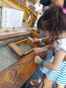 那須高原りんどう湖ファミリー牧場に投稿された画像（2023/8/13）