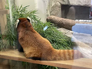 天王寺動物園に投稿された画像（2023/8/13）