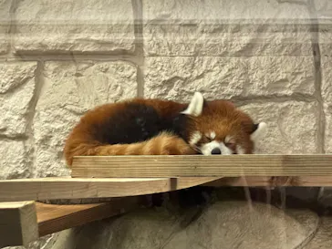 天王寺動物園に投稿された画像（2023/8/13）