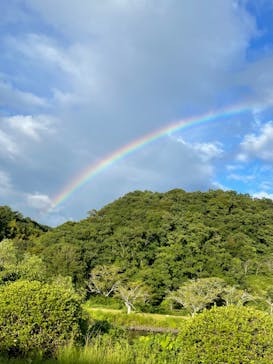 つま恋イルミネーションに投稿された画像（2023/8/13）