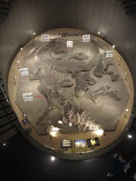 福井県立恐竜博物館に投稿された画像（2023/8/13）