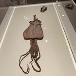 あべのハルカス美術館に投稿された画像（2023/8/13）