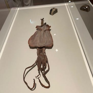 あべのハルカス美術館に投稿された画像（2023/8/13）