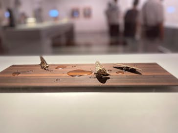 あべのハルカス美術館に投稿された画像（2023/8/13）