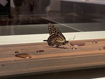 あべのハルカス美術館に投稿された画像（2023/8/13）