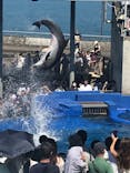 大分マリーンパレス水族館 「うみたまご」に投稿された画像（2023/8/13）
