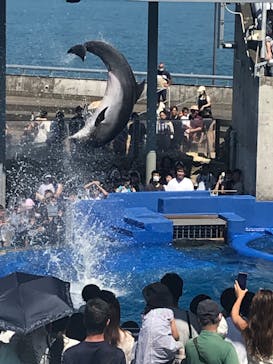 大分マリーンパレス水族館 「うみたまご」に投稿された画像（2023/8/13）