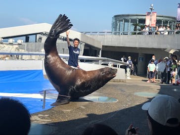 大分マリーンパレス水族館 「うみたまご」に投稿された画像（2023/8/13）