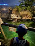 天王寺動物園に投稿された画像（2023/8/13）