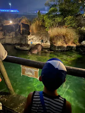 天王寺動物園に投稿された画像（2023/8/13）
