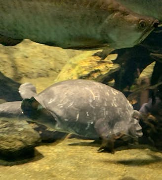 名古屋港水族館に投稿された画像（2023/8/13）