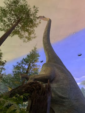 福井県立恐竜博物館に投稿された画像（2023/8/13）