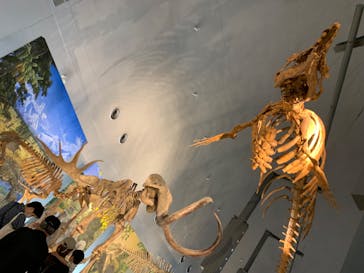 福井県立恐竜博物館に投稿された画像（2023/8/13）