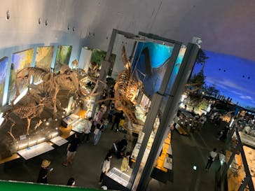 福井県立恐竜博物館に投稿された画像（2023/8/13）