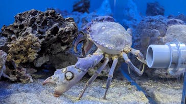 名古屋港水族館に投稿された画像（2023/8/13）