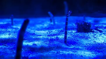 名古屋港水族館に投稿された画像（2023/8/13）