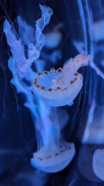 名古屋港水族館に投稿された画像（2023/8/13）