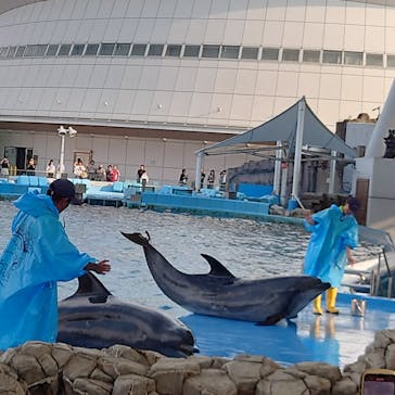 名古屋港水族館に投稿された画像（2023/8/13）