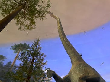 福井県立恐竜博物館に投稿された画像（2023/8/13）