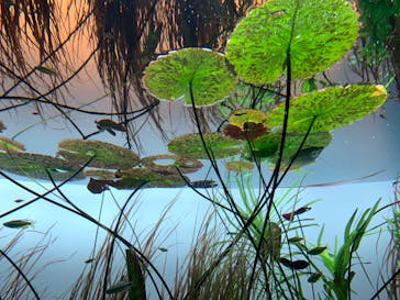 AOAO SAPPOROに投稿された画像（2023/8/13）