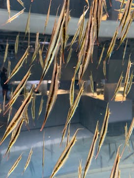 AOAO SAPPOROに投稿された画像（2023/8/13）