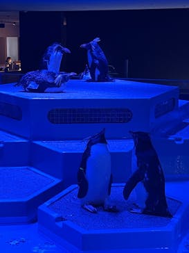 AOAO SAPPOROに投稿された画像（2023/8/13）