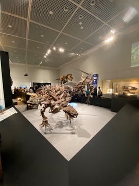 大阪市立自然史博物館に投稿された画像（2023/8/13）