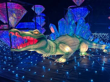 伊豆ぐらんぱる公園に投稿された画像（2023/8/13）