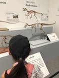 大阪市立自然史博物館に投稿された画像（2023/8/14）