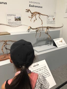 大阪市立自然史博物館に投稿された画像（2023/8/13）