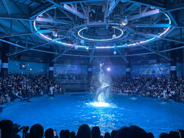 マクセル アクアパーク品川に投稿された画像（2023/8/13）