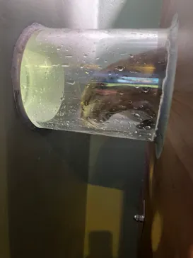 マクセル アクアパーク品川に投稿された画像（2023/8/13）