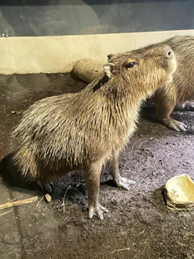 マクセル アクアパーク品川に投稿された画像（2023/8/13）