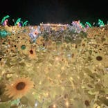 せんだい農業園芸センター　みどりの杜に投稿された画像（2023/8/14）