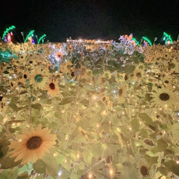 せんだい農業園芸センター　みどりの杜に投稿された画像（2023/8/13）