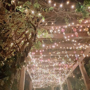 せんだい農業園芸センター　みどりの杜に投稿された画像（2023/8/13）