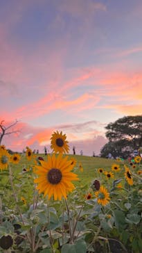 せんだい農業園芸センター　みどりの杜に投稿された画像（2023/8/13）