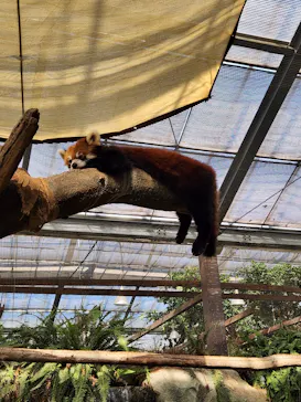 神戸どうぶつ王国に投稿された画像（2023/8/13）