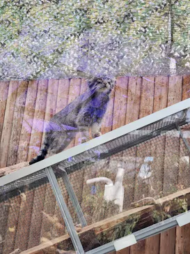 神戸どうぶつ王国に投稿された画像（2023/8/13）