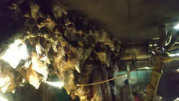 天王寺動物園に投稿された画像（2023/8/13）