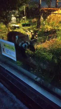 天王寺動物園に投稿された画像（2023/8/13）