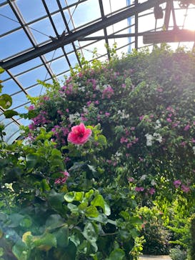 熱川バナナワニ園に投稿された画像（2023/8/14）