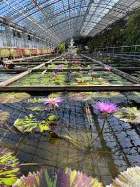 熱川バナナワニ園に投稿された画像（2023/8/14）